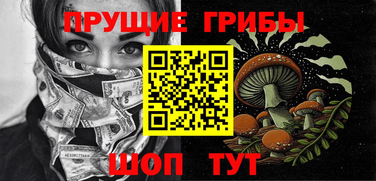 Донецк  Галлюциногенные грибы Psilocybe  Вход с VPN 